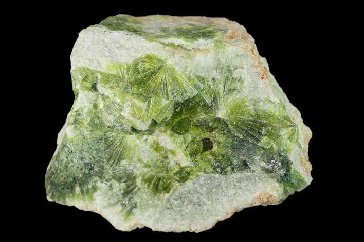 Radiating, Green Wavellite Crystal Aggregation - Arkansas #135941